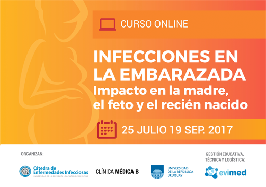 Infecciones en el embarazo riesgos
